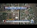 Driver hurt in Wellington crash