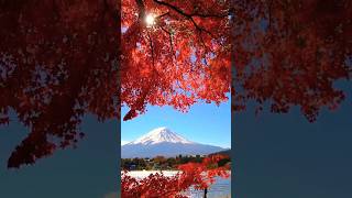 Mount Fuji, Japan #shorts/ 日本富士山