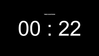 22 Seconds Countdown Timer