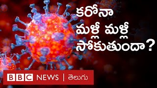 కరోనావైరస్: సోకినవాళ్లకు మళ్లీ సోకుతుందా? కోవిడ్19 రాకుండా శరీరం రోగ నిరోధక శక్తిని పెంచుకోగలదా?