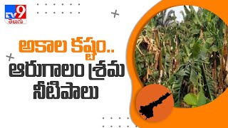 అకాల కష్టం..ఆరుగాలం కృషి నీటిపాలు - TV9