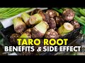 Taro Root Benefits and Side Effects | Health Benefits of Taro Root