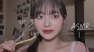 [ASMR] 금속 종류 귀청소 (핀셋, 갈고리, 눈썹칼) + TMI 많음 / Metallic Ear Cleaning