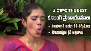 Cooling Pranayama | Cools your Body Temperature | Lung Health | Yoga with Dr. Tejaswini Manogna