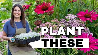 How to Build a Cottage Garden That Looks Full (Easy, Low Maintenance Plants)