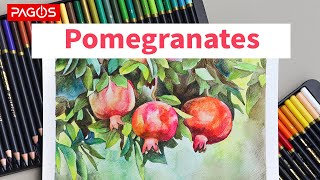 Pomegranates Painting With Pagos Watercolor Pencils and Watercolor Brush