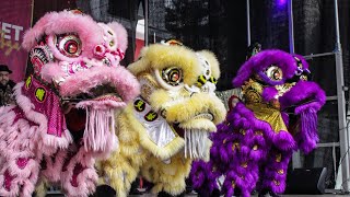 Lion Dance Franco Asiatique 英武堂 (LDFA) - CHINESE NEW YEAR 2025 - Asian Street FOOD Festival - LIONS