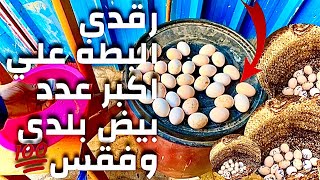 ترقيد البطه علي بيض فراخ بلدي في البيت الأخضر🛖