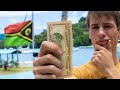 What Can $10 Get in VANUATU??? 🇻🇺