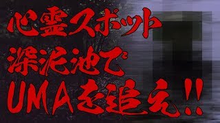 【未確認生物／4K】心霊スポット深泥池で伝説のUMAを追え！！