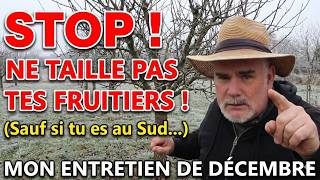STOP ! Ne taille PAS tes Fruitiers si tu es au Nord ! (Mon entretien de Décembre)