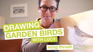 Drawing Birds with Lucy - Garden Birds #1