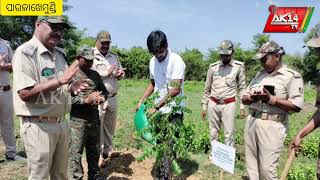 ବେତାଗୁଡା ଠାରେ ବନ ବିଭାଗ ୭୪ ତମ ବନ ମୋହତ୍ସବ ଅନୁଷ୍ଠିତ