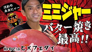 【ミミジャー】この魚、旨いんです★ケンミン熱愛「バター焼き」をつくります！ミミジャーは和名では「ヒメフエダイ」鯛の仲間です/渋めの赤いボディ・グインと曲線を描く頭の形が特徴的。バター焼きで激ウマ！