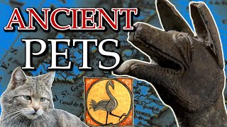 Ancient Pets of Britain and Ireland