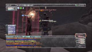 タルが行く FFXI：31 Gloombound Lurker(NM)