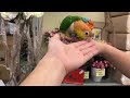 bcy 手乗りシロハラインコ