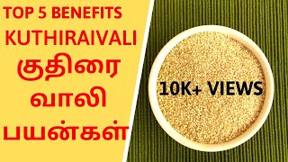 Top 5 குதிரைவாலி பயன்கள் | Kuthiraivali rice benefits in tamil | Barnyard millet benefits