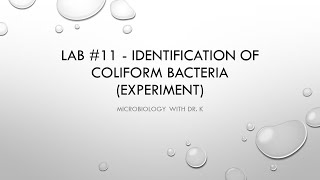 Lab #11 - Identification of coliform bacteria - experiment