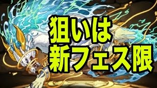 新フェス限狙いでゴッドフェス！ガチャ10連【パズドラ】