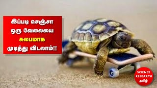 இப்படி செஞ்சா ஒரு வேலையை சுலபமாக முடித்து விடலாம் | How could finish difficulty work by #Smart #work