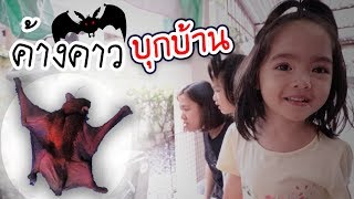 ค้างคาวบุกบ้าน | หนูยิ้มหนูแย้ม