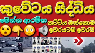 🇰🇼😳👉කුවේටය සියලුම ප්‍රදේශවල ආරම්භ වෙන වැටලීම📢 #sarfanbavlog #kuwaitsinhalanews #srilankabreakingnews