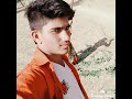 Parindey song