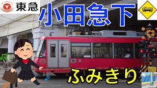 【踏切】東急世田谷線　小田急下踏切　Japan Railway crossing Tokyu Setagaya LINE RAILWAY(Tokyo japan)