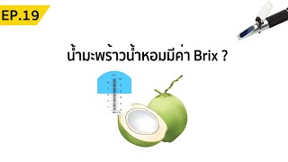 ค่า Brix (ความหวาน)ของน้ำมะพร้าวน้ำหอม  NC coconut Farm EP.19