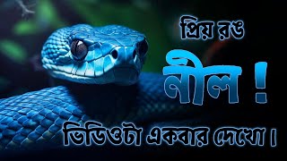 নীল রঙ যাদের প্রিয় তারা কেমন মানুষ হয় | personality Test by Counselling With Nairita