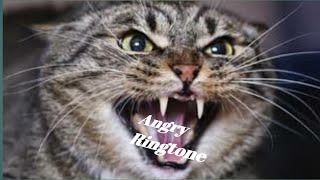 Angry Cat sound mobile ringtone mp3 /Cat new mobile ringtone 2021