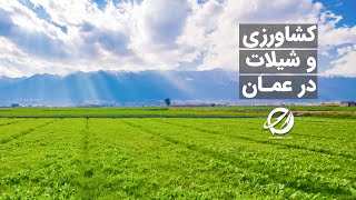 کشاورزی و شیلات در عمـان