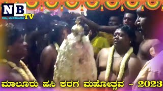 ಮಾಲೂರು ಹಸಿ ಕರಗ-2023 | maluru Karaga | Hasi karaga | Karaga videos |