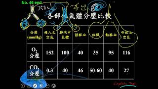 11002選修生物三ch3 1 15各位置氣體分壓的比較(二溫)