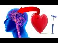 11 Amazing Natural Ways To Boost Blood Circulation To The Brain & Heart