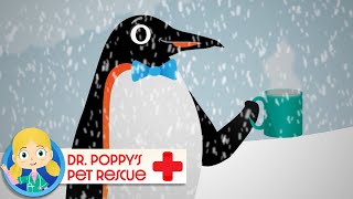 Chilly The Penguin 🐧 | Doctor Poppy - Animals For Kids | Cartoon Animals