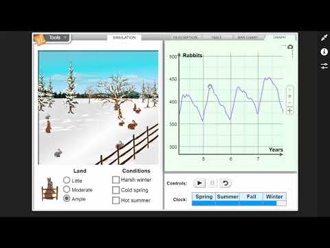 In which season did the rabbit population decrease the most?