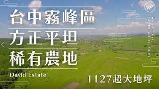 台中市霧峰區-方正平坦稀有農地｜農牧用地｜田園美景｜有水有電可申請｜霧峰工業區｜David Estate