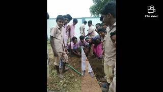 மிஷன் இயற்கை திட்டம் (03-02-2023) @ MY GOVT SCHOOL