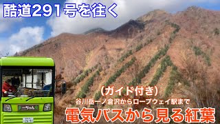 【酷道291号線】ガイド付き！谷川岳一ノ倉沢からロープウェイ駅まで電気バスから見る紅葉