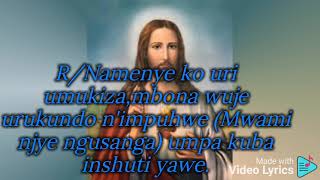 NZIGUMIRA IWAWE By Padiri Theogene( video lyrics)