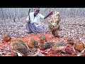 WILD QUAIL HUNTING | Delicious Red Sand Quail Cooking | தேறி காட்டு காடை வேட்டை | Village Grandpa