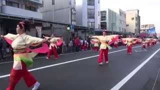 よさこい東海道2013　本祭【本町審査会場】桜湖頭