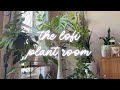 The LoFi Plant Room | Mid afternoon beats to study, work or chill to