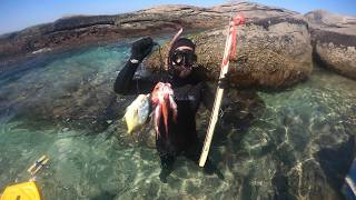 PESCA SUB - Caça do raso ao fundo com muita vida! #spearfishing #mergulho