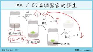 108選生二 4-3植物激素_2吉貝素_細胞分裂素