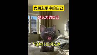 你们女朋友是这样的吗？ #猫meme小剧场 #cat #万万没想到 #搞笑 #funny #情侣