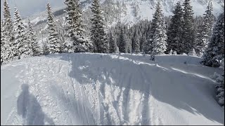 How to ski some fresh powder