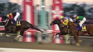 【４Ｋ、現地撮影、高音質】第６１回東京大賞典（ＧⅠ）優勝馬アポロケンタッキー